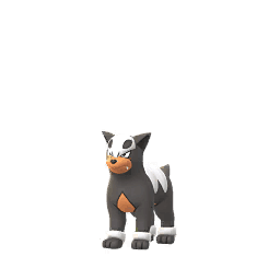 Pokemon GO - Houndour | Pokedex Pokemon | Registered or Unregistered!!