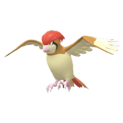 Pidgeotto - Pokèmon Go | Caught in 2016 | Registered or Unregistered✨